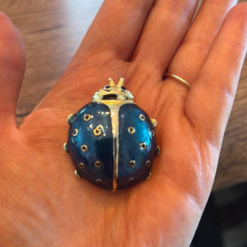 Blue Ladybug Brooch